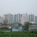 8단지주공부동산공인중개사사무소 이미지