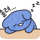 경희대상무태권도장 이미지