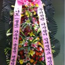 나도가수다 이미지