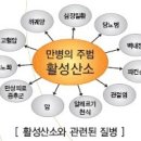 염증을 없에는 활성산소 줄이는 방법 이미지