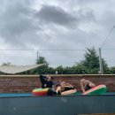 더베이호텔앤풀빌라 이미지