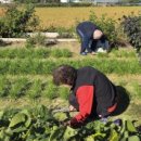 성심마트 이미지