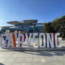 [경기도/가평] 가평 글램핑 추천 - 너무 깨끗한 신설 해목글램핑, 조은마트 무료픽업 후기
