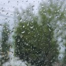 소희농장 이미지