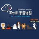 조앤박동물병원 네이버블로그