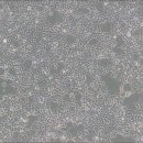 293컴퍼니 이미지