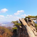 집라인 - 14067 | 집라인