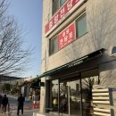 타히티모텔 | 춘천여행, JOC 젤라또 - 춘천 카페 아이스크림 맛집 춘천 뚜벅이 여행 가볼만한 곳