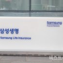 이례로 이미지
