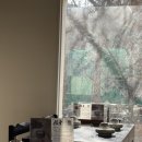 정동길 | 덕수궁 점심 맛집 찾는다면 정동길 맛집 탄백 솔직 후기