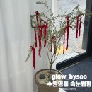 래쉬바이수 | 수원영통 속눈썹펌 단골이 되버린 글로우바이수 3번째 방문후기, 유지력최고 강추