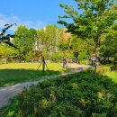 탄현체육공원 축구장 이미지