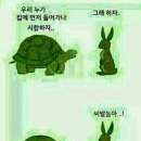 토끼와거북이 이미지