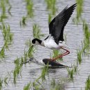 국립생태원동물병원 이미지