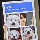먹밥