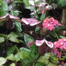 러브하우스 이미지