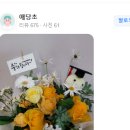 꽃닢 | 당진 꽃집 추천 – 당진 꽃배달/당진 꽃집/꽃닢플라워 (플라워119 당진 송악점) 소개