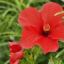 (후기) 중국 썬전(深圳市,심천) &#39;25년10월23(수)~ 5박6일 &#34;선전 바오안 宝安공항＞맹그로브해변+홍콩앞바다+이웃도시惠州 이미지