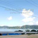 백송식당 이미지