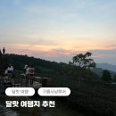 달랏 여행지 추천 구름사냥투어 시간 + 피크타임 예약