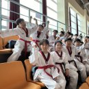 해운태권도장 이미지