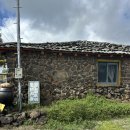 녹차분재로 | 제주도 일식당 “릇” 갈치튀김덮밥 맛집 내돈내산 후기