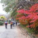 축령산풍경