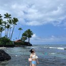 루우루우 | 하와이 빅아일랜드 스노쿨링 명소 온가족이 즐기기 좋은 카할루우비치 후기 (feat. 스노쿨링 준비물 추천)