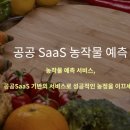 지디에스컨설팅 이미지