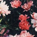 보아플라워 - 송파구 | 보아플라워