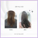경산 사동 미용실 설헤어 애쉬브라운 염색 후기 탈색모 심폐소생술 성공