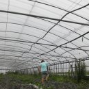 동곡농장 이미지