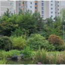 판교역부근 이미지