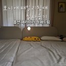 큐브아이 오피스텔 | 보니애 저상형패밀리침대 실사용후기(수유등, 가드, 매트리스, 사이드선반 등 나만의 옵션 활용TIP)