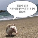 반호스튜디오 이미지