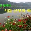 이른아침 캠핑장 이미지