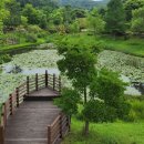 황학산수목원 이미지