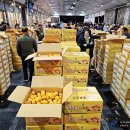 신효월라봉영농조합법인 이미지