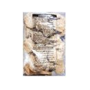 성원숯불갈비 이미지