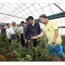 평택농장 이미지