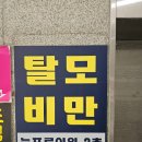 늘푸른의원 | 대전 탈모로 유명한 늘푸른의원