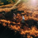 (주)아일랜드스토리 이미지