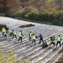 자매유통 이미지