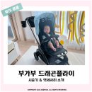 드플봄날 | 부가부 드래곤플라이 24년 토프 뉴 컬렉션 예약 주문 비6와 드래곤플라이 비교