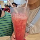 시크릿푸드 | 쿠알라룸푸르 수리아몰 KLCC 지하푸드코트 맛집 Secret recipe 시크릿레시피 방문후기(추천메뉴, 위치)