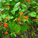 고원모텔 이미지