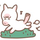 에이스승마랜드 이미지