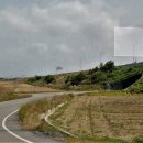 화원농협주유소 이미지