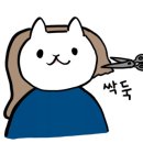 살롱오도르