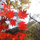 소요산명품한우축산물판매장